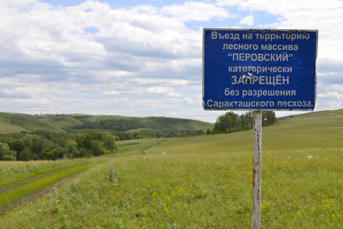 Перовское урочище, дубравы Саракташа