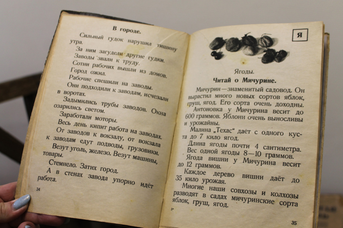 Букварь для взрослых