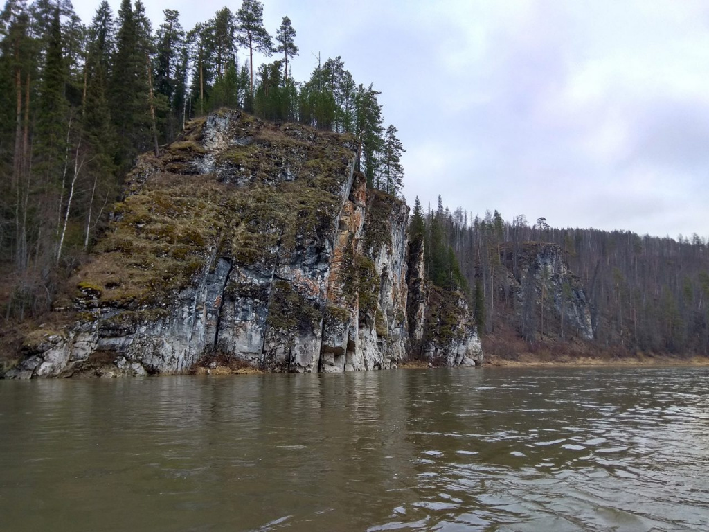 Камень Гусельный