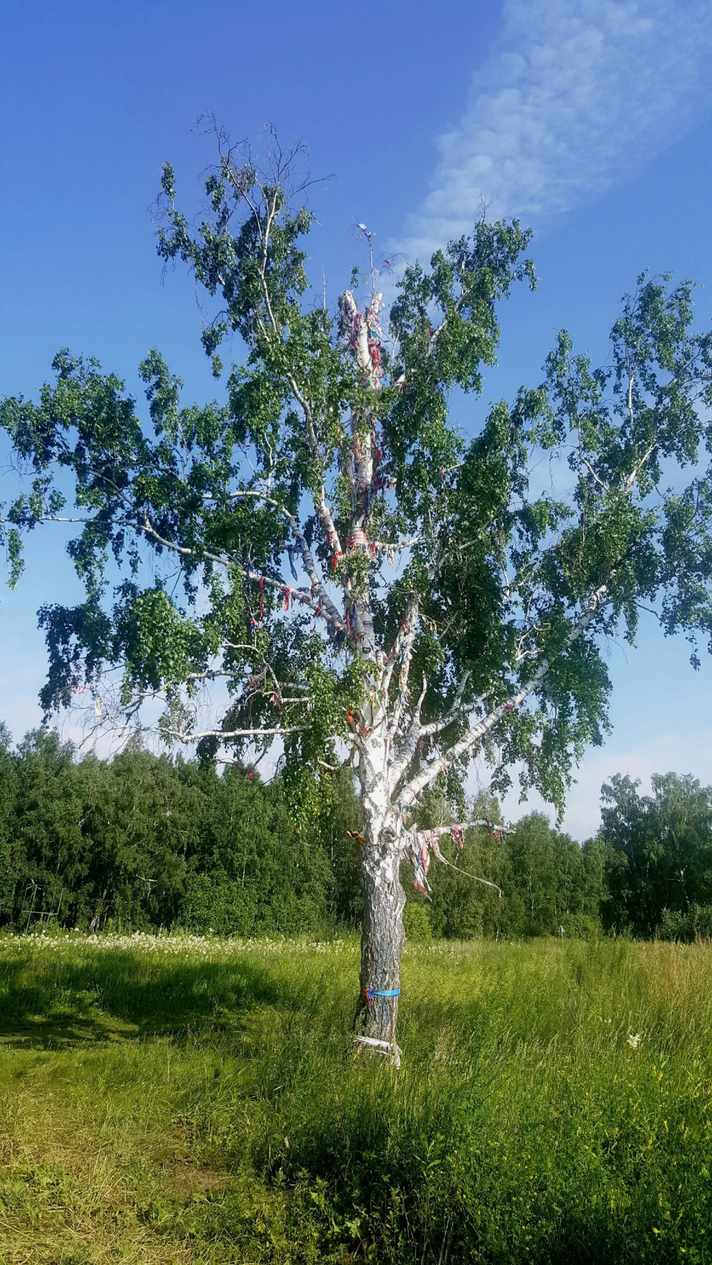 Ишимские бугры