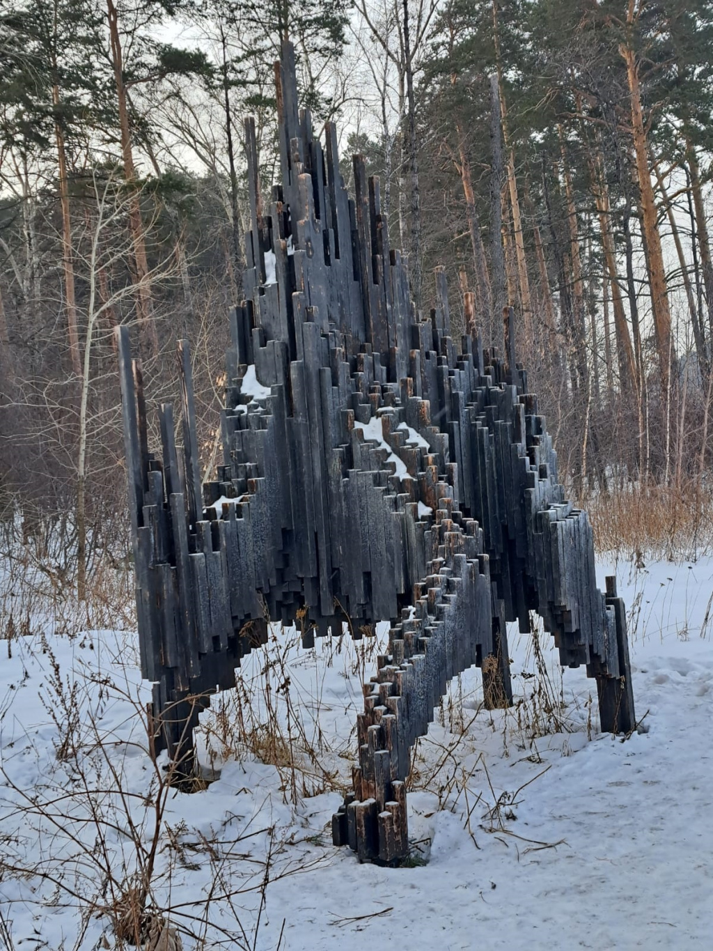 Сопровождает статью