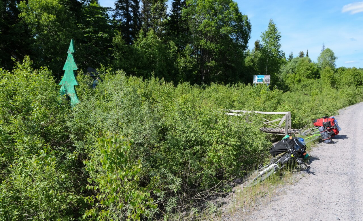 Заросло всё - аж беседки не видно