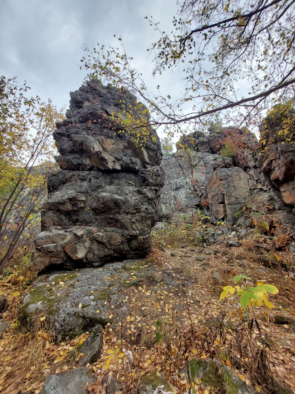 Палец, зуб, клык