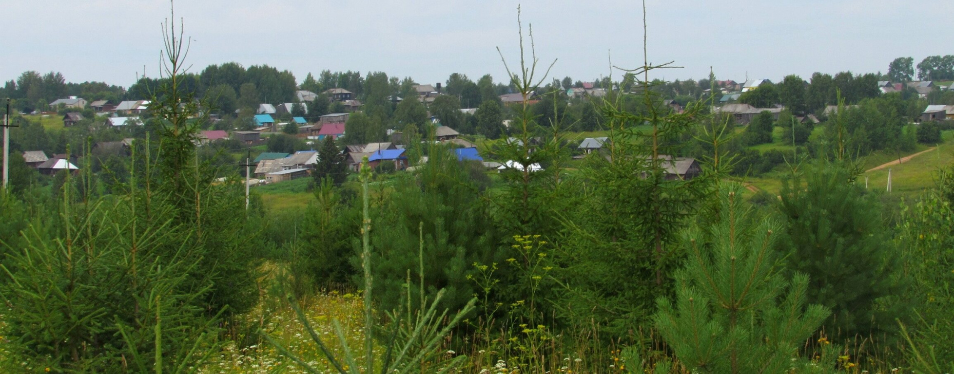 Эколого-туристическая тропа в д. Соколово (Верещагинский район)