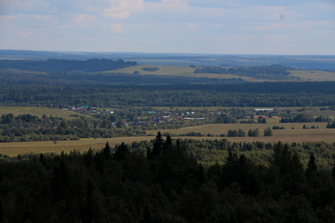 площадь копылова чернушка